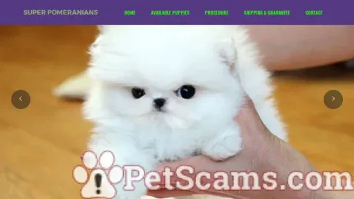 Screenshot of
