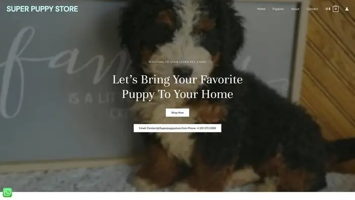 Screenshot of
