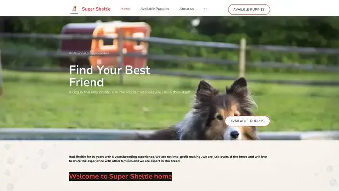 Screenshot of