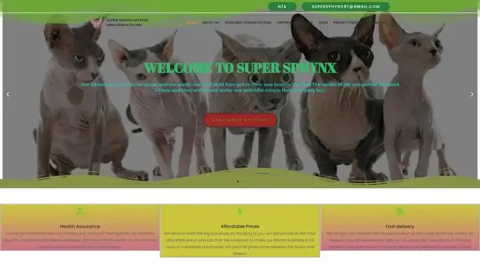 Screenshot of