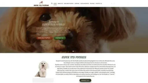 Screenshot of
