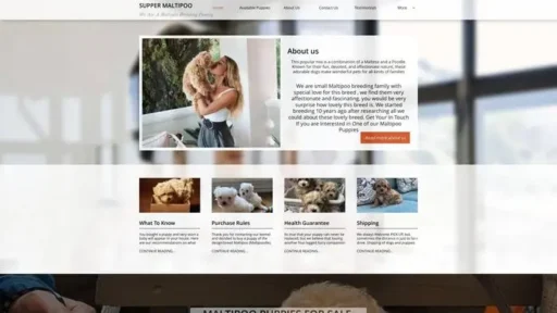Screenshot of