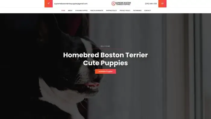 Screenshot of