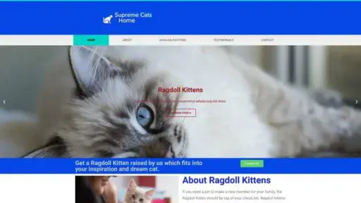 Screenshot of