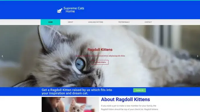 Screenshot of