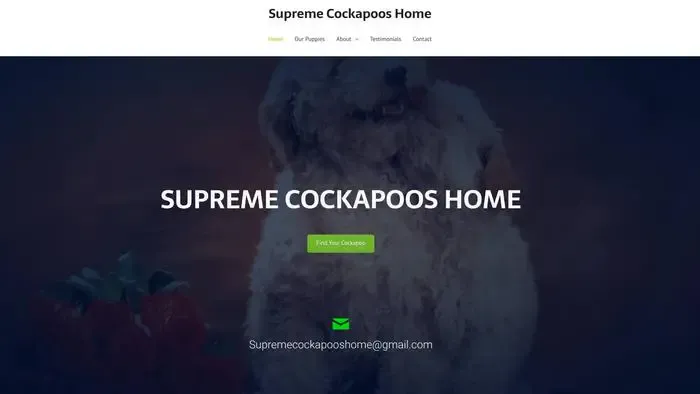 Screenshot of