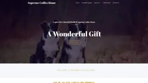 Screenshot of