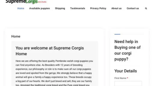 Screenshot of
