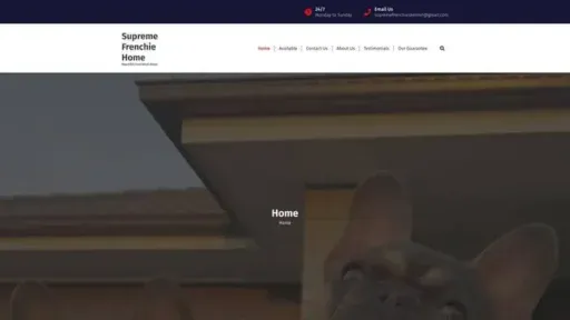 Screenshot of