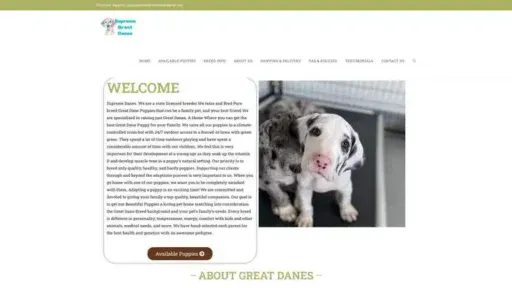 Screenshot of