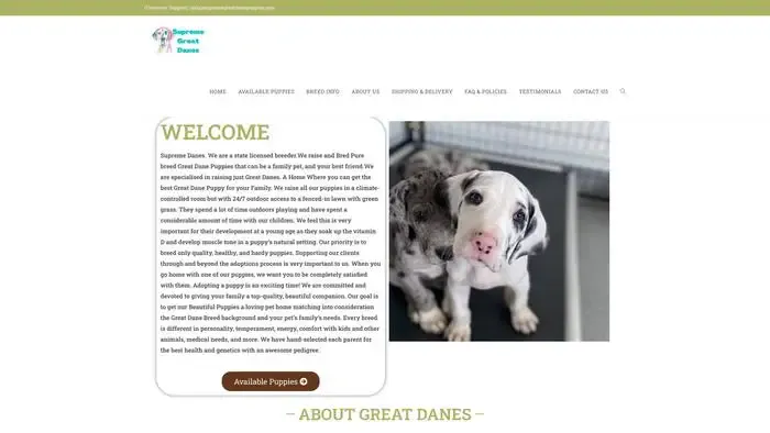 Screenshot of