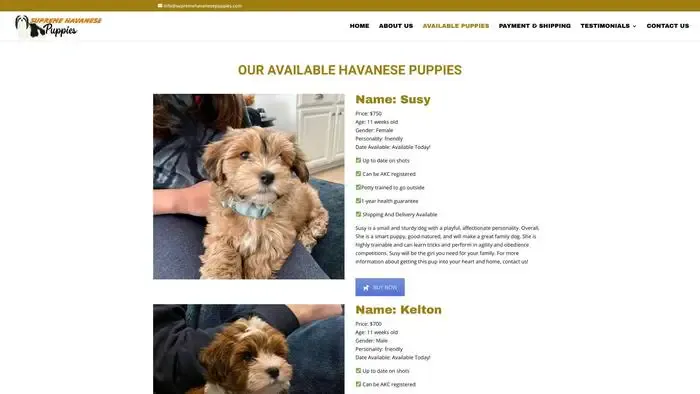 Screenshot of