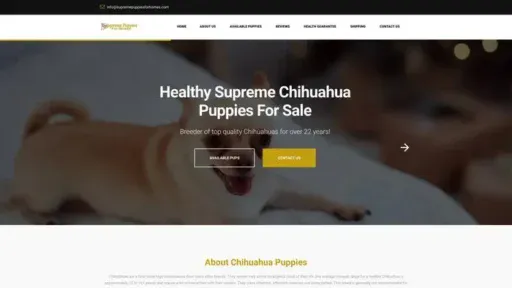 Screenshot of