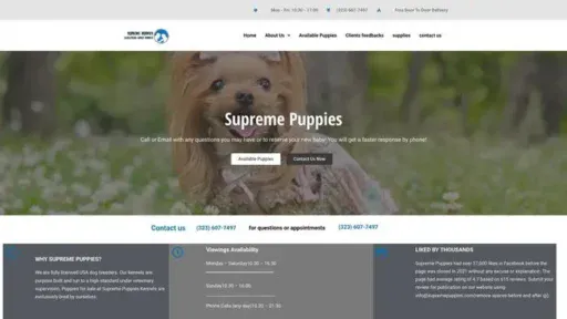 Screenshot of