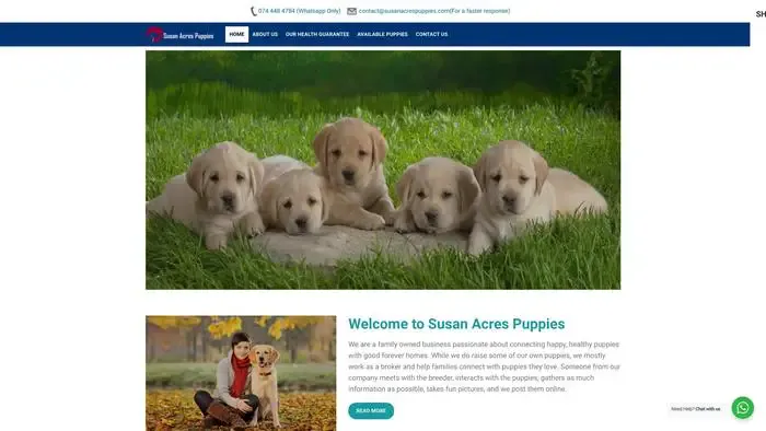 Screenshot of