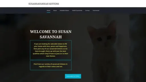 Screenshot of