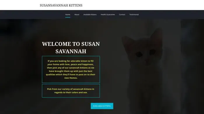 Screenshot of