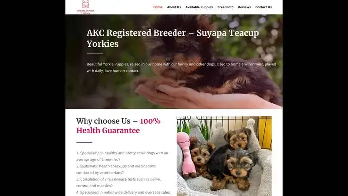 Screenshot of
