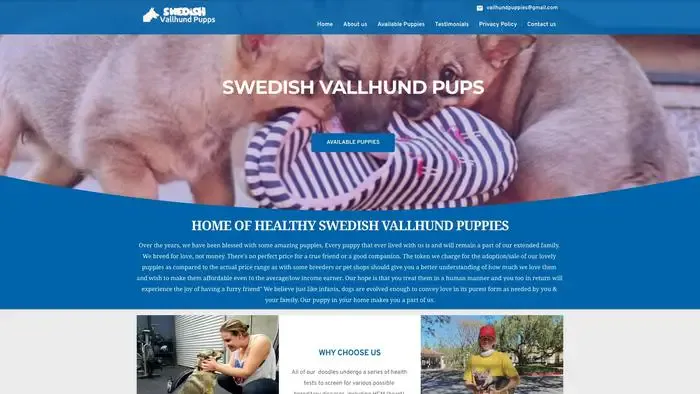 Screenshot of