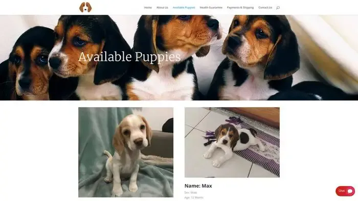 Screenshot of
