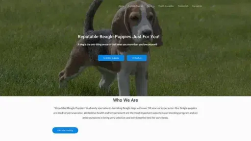 Screenshot of