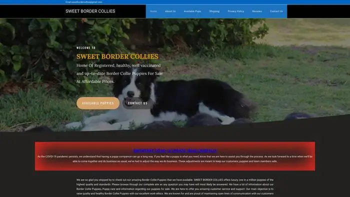 Screenshot of