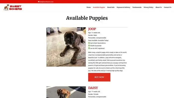 Screenshot of