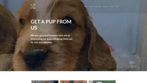 Screenshot of