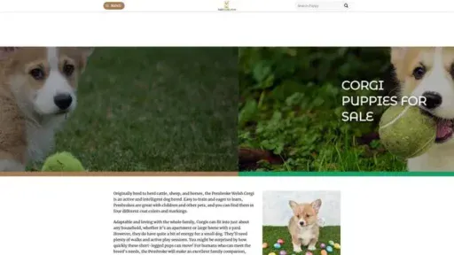 Screenshot of