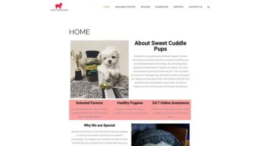 Screenshot of