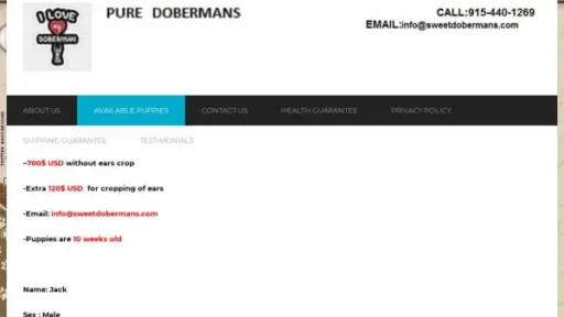 Screenshot of