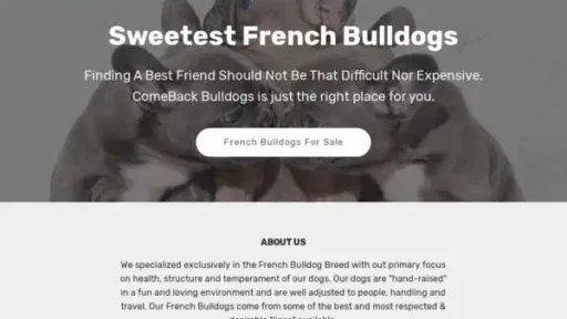Screenshot of