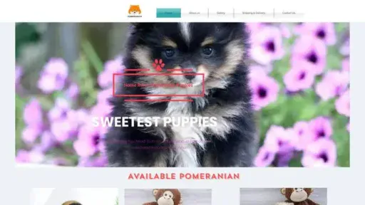 Screenshot of