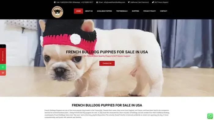 Screenshot of