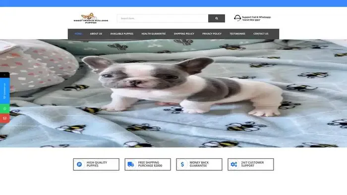 Screenshot of