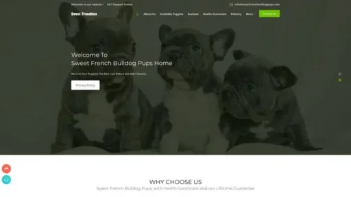 Screenshot of