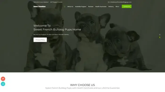 Screenshot of