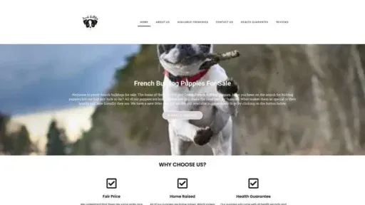 Screenshot of