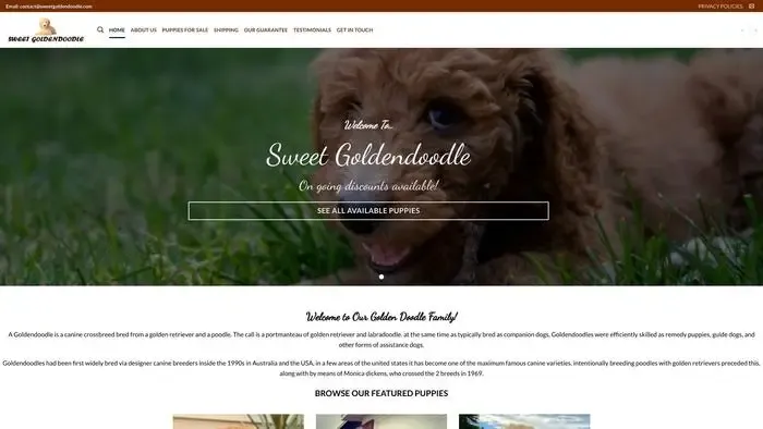 Screenshot of