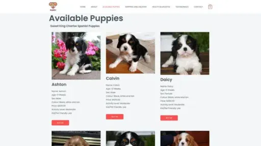 Screenshot of