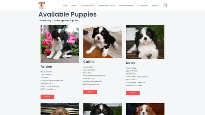 Screenshot of