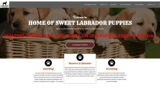 Screenshot of