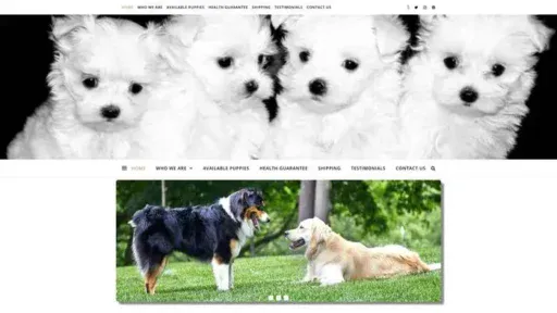Screenshot of