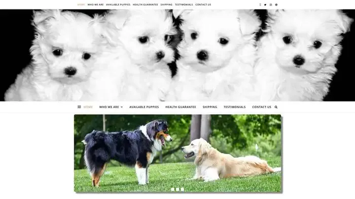 Screenshot of