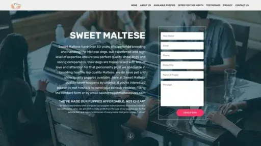 Screenshot of