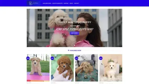 Screenshot of