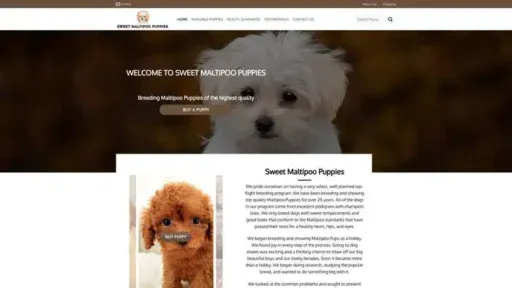Screenshot of
