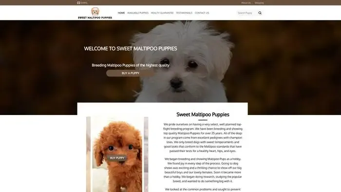 Screenshot of