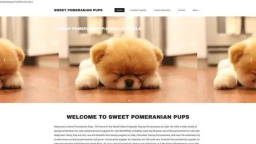 Screenshot of