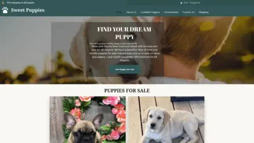 Screenshot of